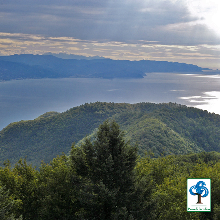 Parco Portofino