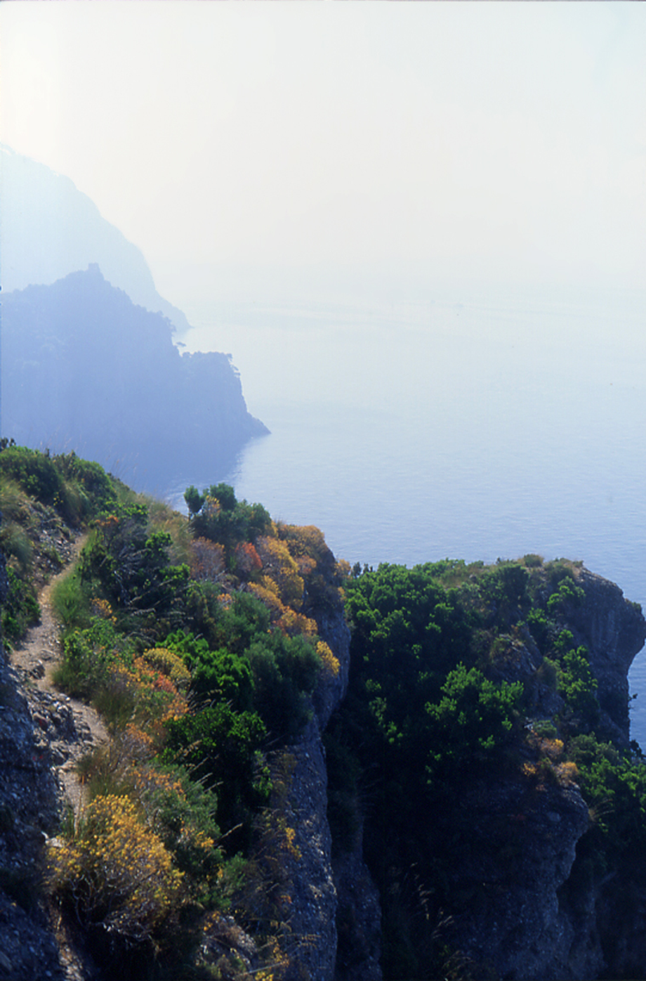 La macchia mediterranea delle Batterie