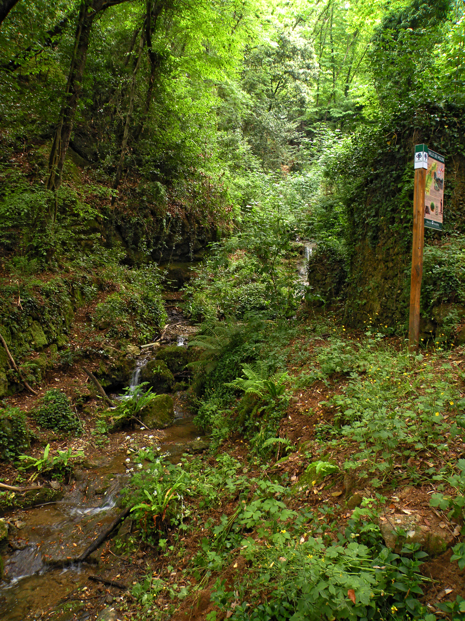 Il Mulino del Gassetta da elicottero