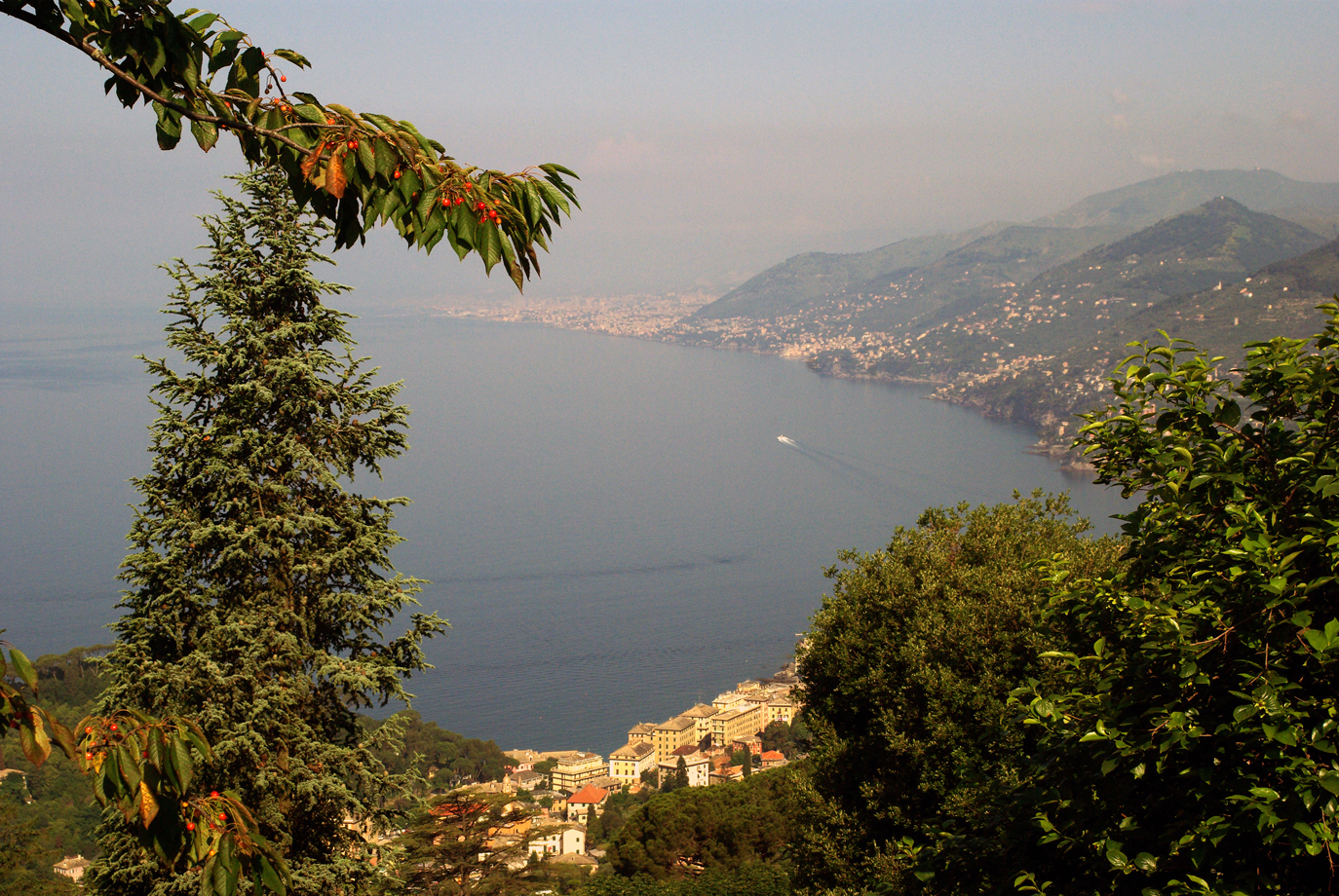 La lecceta a Portofino Vetta 