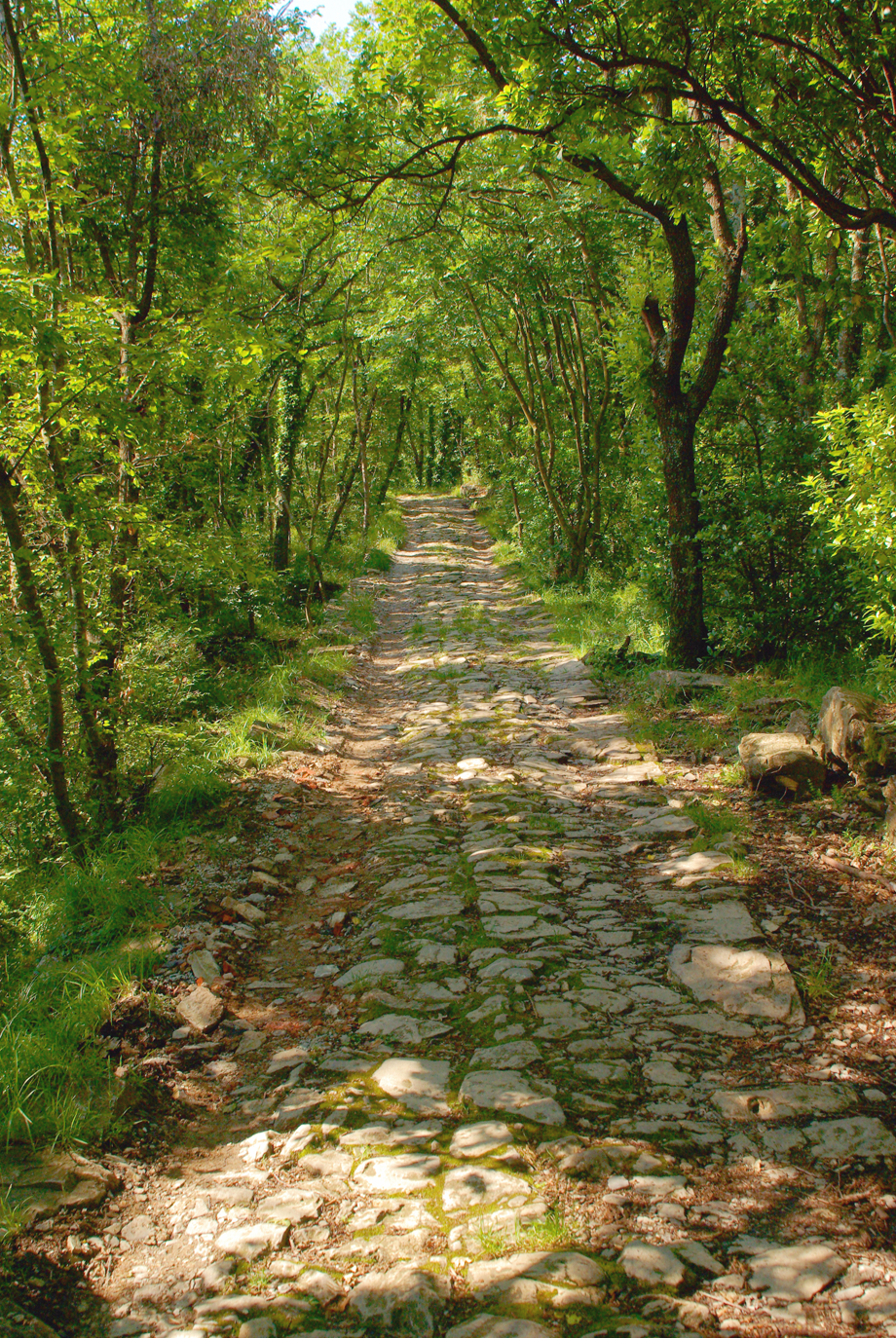 Pietre Strette