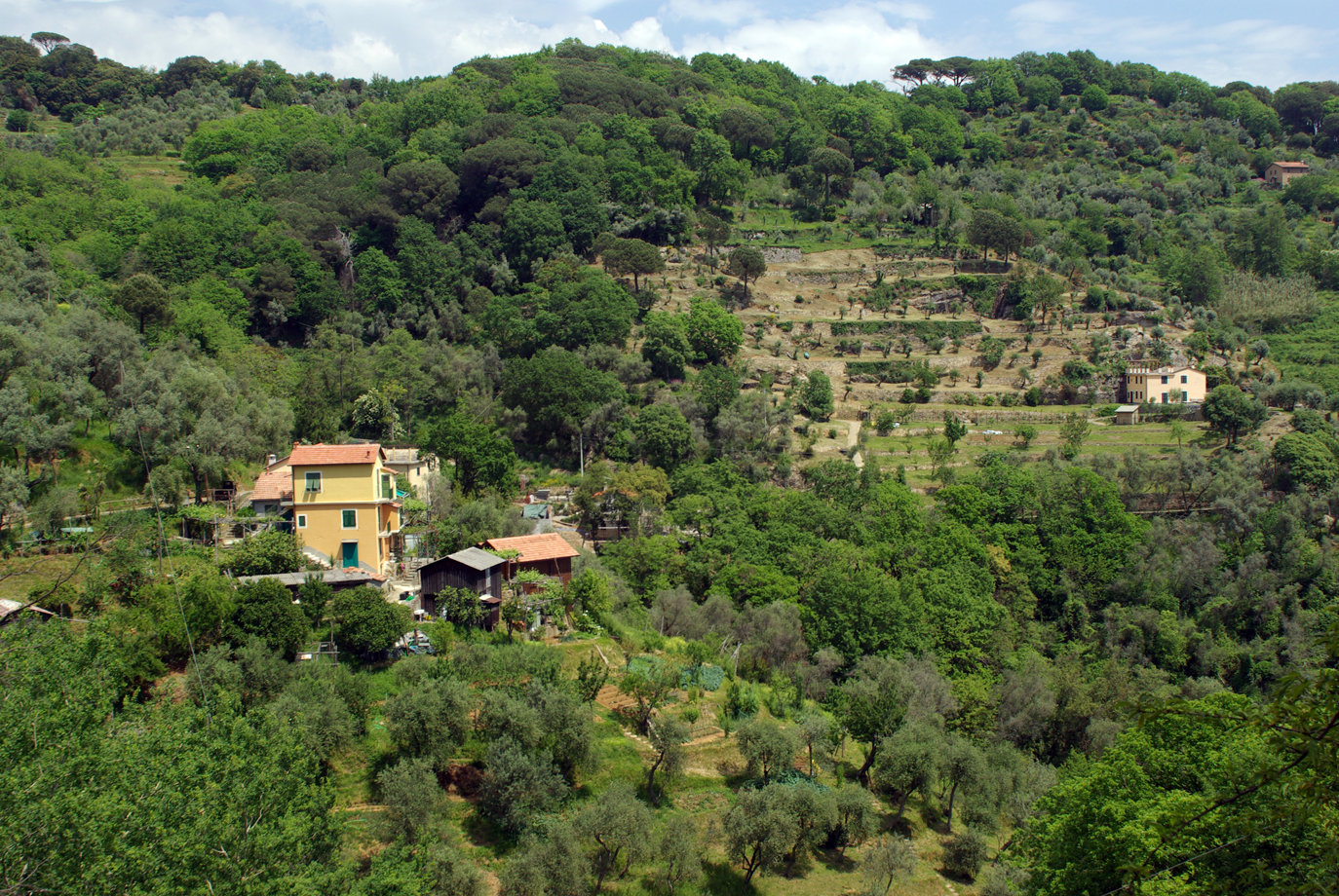Località 