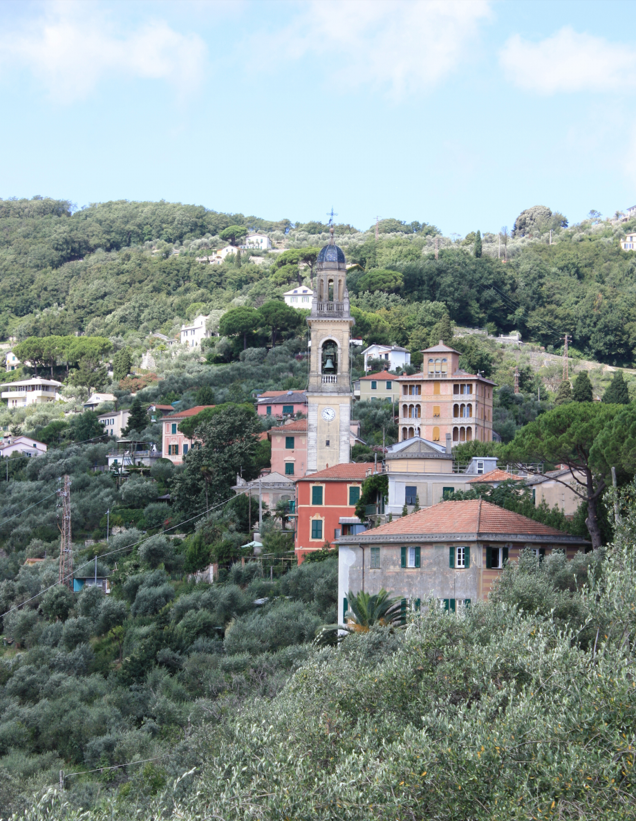 San lorenzo tra gli ulivi