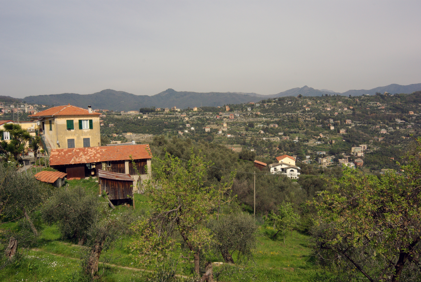 Panoramica su Dolcina